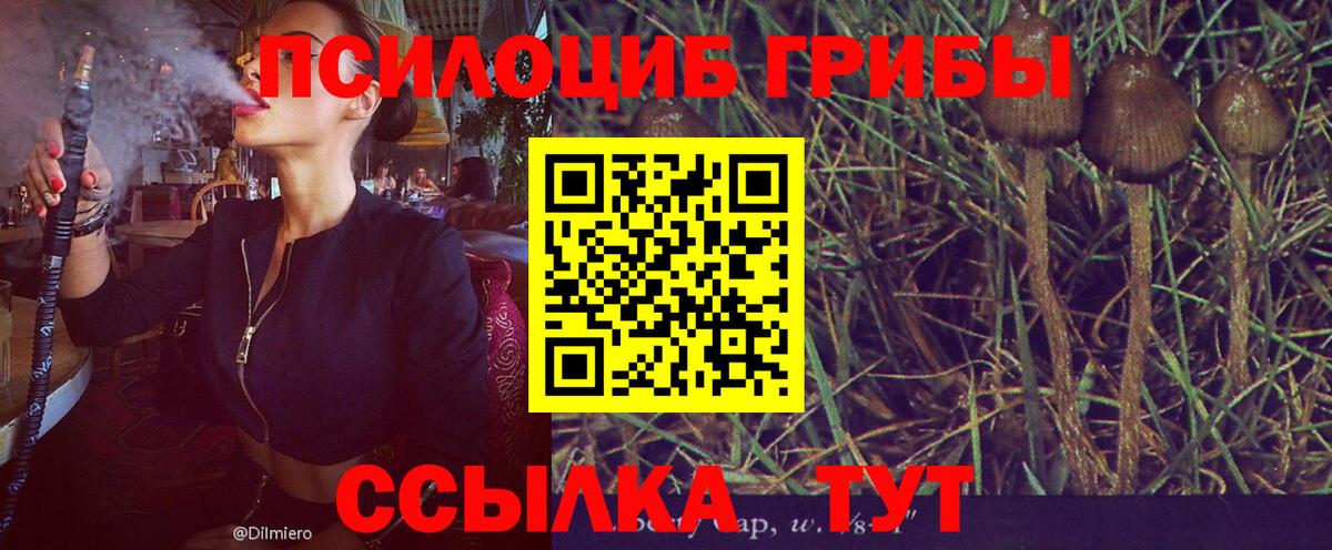 Галлюциногенные грибы MAGIC MUSHROOMS Орёл